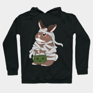 Mummy Rabbit for Halloween _ Bunniesmee Hoodie